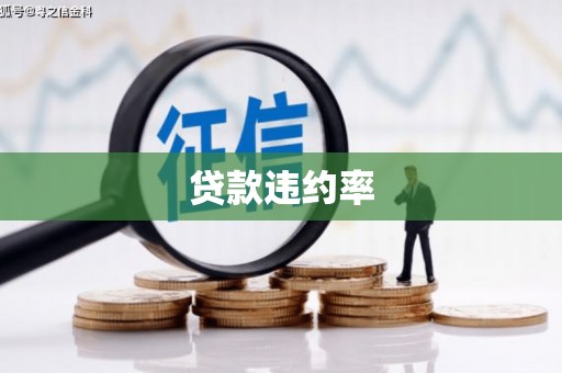 多伦贷款违约率