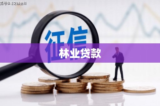 多伦林业贷款