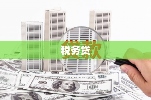 多伦税务贷