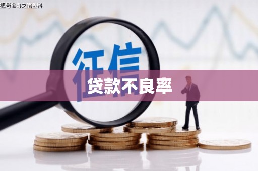 多伦贷款不良率