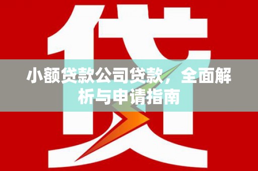 多伦小额贷款公司贷款，全面解析与申请指南