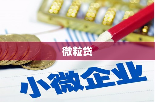 多伦微粒贷