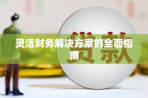 多伦灵活财务解决方案的全面指南