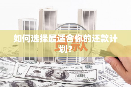 多伦如何选择最适合你的还款计划？