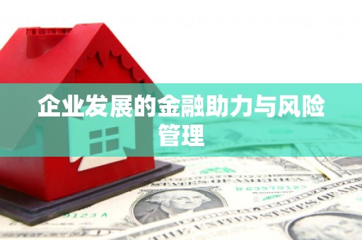多伦企业发展的金融助力与风险管理