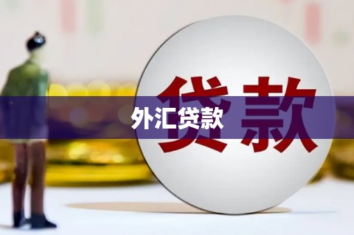 多伦外汇贷款