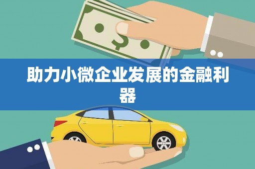 多伦助力小微企业发展的金融利器