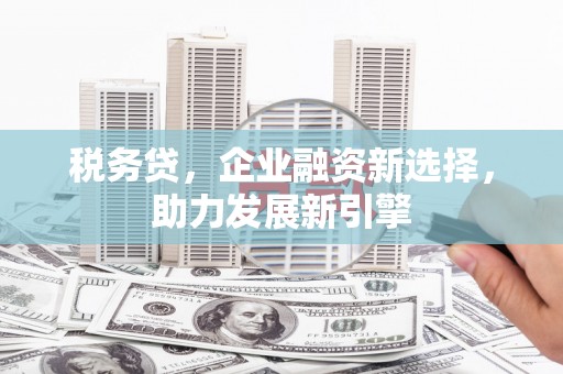 多伦税务贷，企业融资新选择，助力发展新引擎