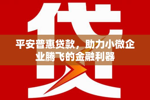 多伦平安普惠贷款，助力小微企业腾飞的金融利器