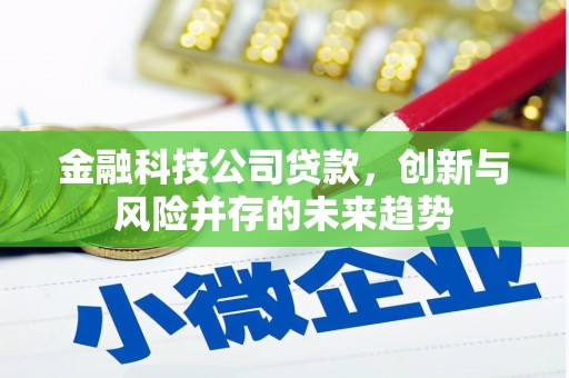多伦金融科技公司贷款，创新与风险并存的未来趋势