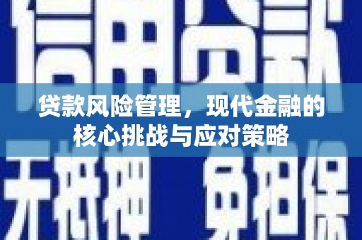 多伦贷款风险管理，现代金融的核心挑战与应对策略
