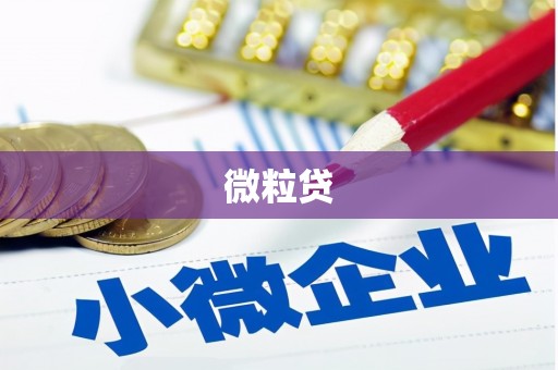 多伦微粒贷