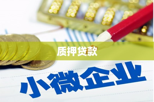 多伦质押贷款