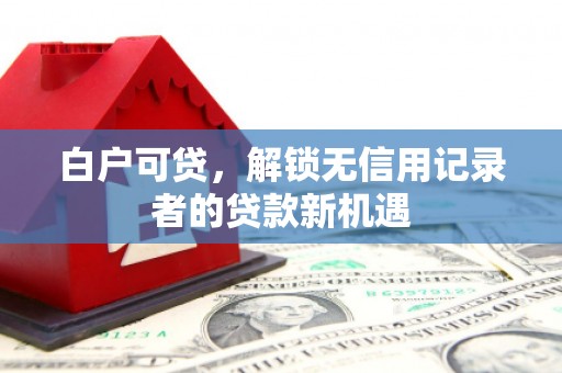 多伦白户可贷，解锁无信用记录者的贷款新机遇