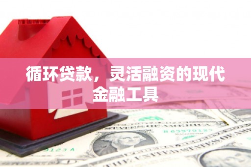 多伦循环贷款，灵活融资的现代金融工具