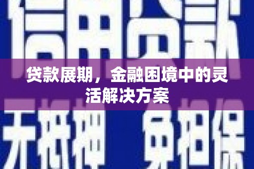 多伦贷款展期，金融困境中的灵活解决方案