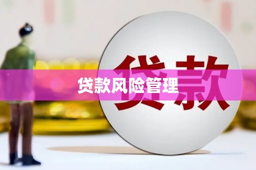 多伦贷款风险管理