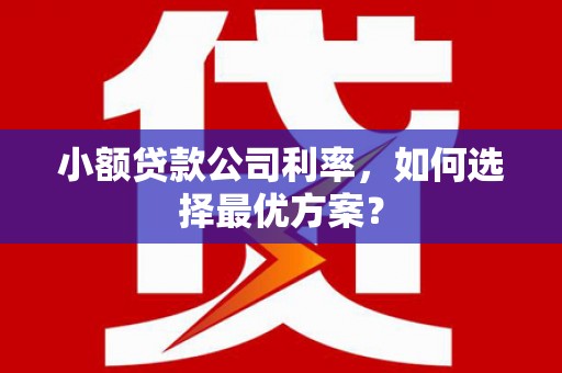 多伦小额贷款公司利率，如何选择最优方案？
