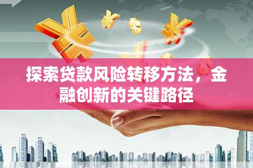 多伦探索贷款风险转移方法，金融创新的关键路径
