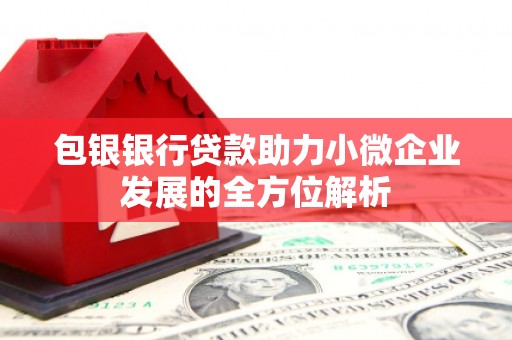 多伦包银银行贷款助力小微企业发展的全方位解析