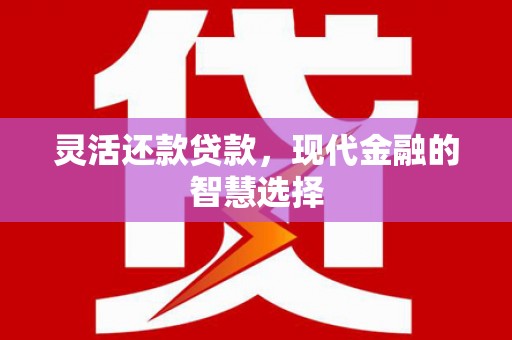 多伦灵活还款贷款，现代金融的智慧选择