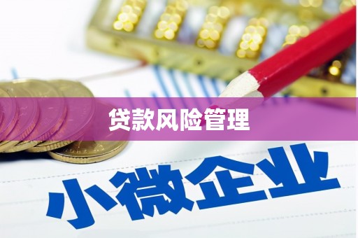 多伦贷款风险管理