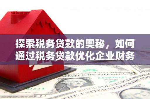 多伦探索税务贷款的奥秘，如何通过税务贷款优化企业财务