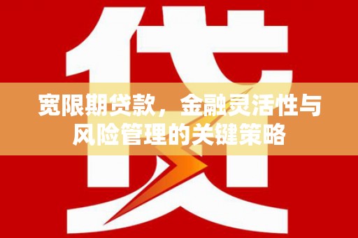 多伦宽限期贷款，金融灵活性与风险管理的关键策略