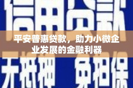多伦平安普惠贷款，助力小微企业发展的金融利器