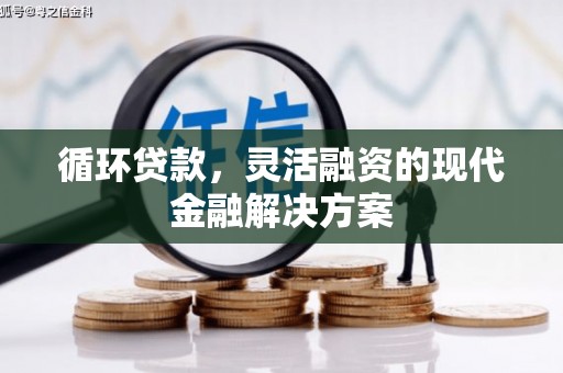 多伦循环贷款，灵活融资的现代金融解决方案