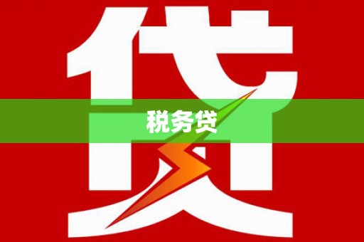 多伦税务贷