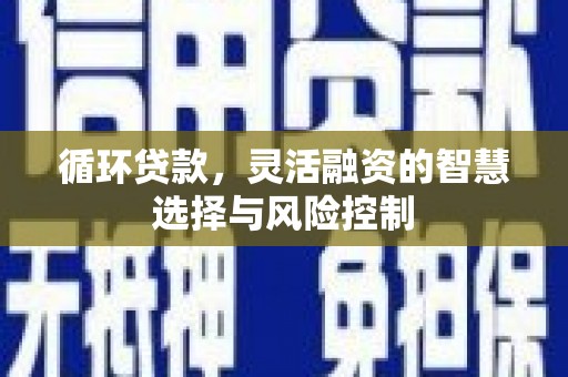 多伦循环贷款，灵活融资的智慧选择与风险控制