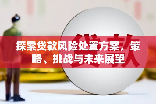 多伦探索贷款风险处置方案，策略、挑战与未来展望
