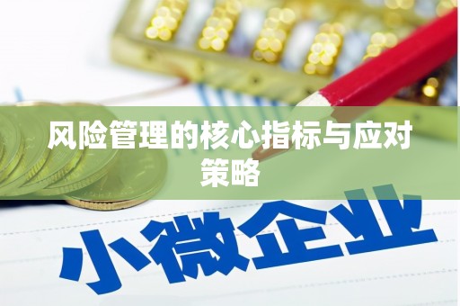 多伦风险管理的核心指标与应对策略