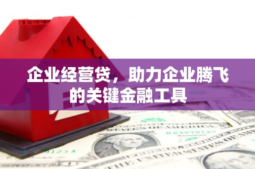 多伦企业经营贷，助力企业腾飞的关键金融工具