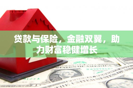 多伦贷款与保险，金融双翼，助力财富稳健增长