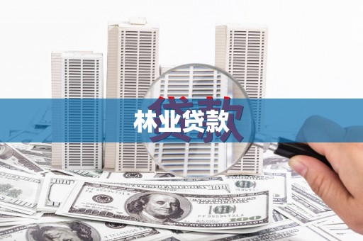多伦林业贷款