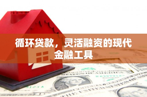 多伦循环贷款，灵活融资的现代金融工具