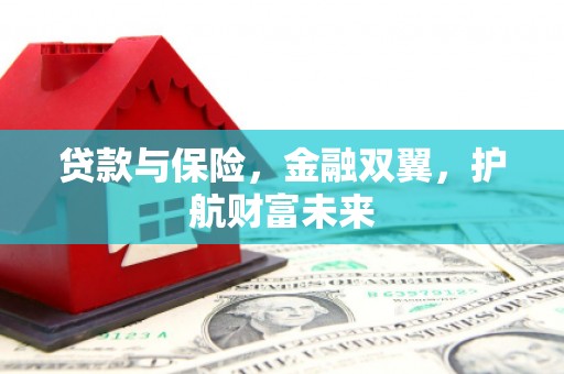多伦贷款与保险，金融双翼，护航财富未来