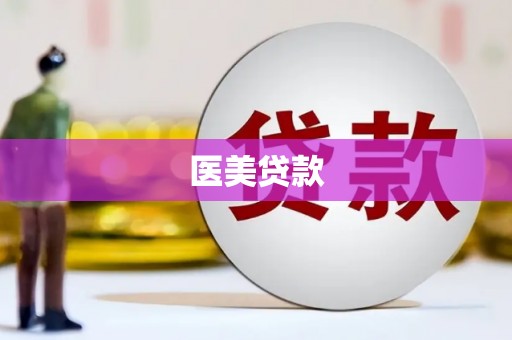 多伦医美贷款