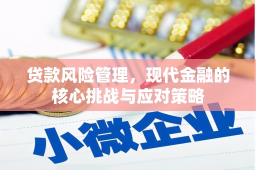 多伦贷款风险管理，现代金融的核心挑战与应对策略