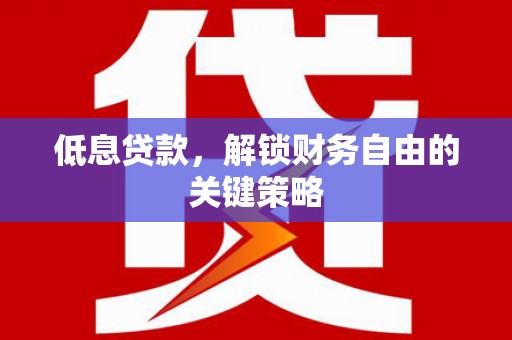 多伦低息贷款，解锁财务自由的关键策略