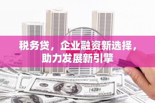 多伦税务贷，企业融资新选择，助力发展新引擎