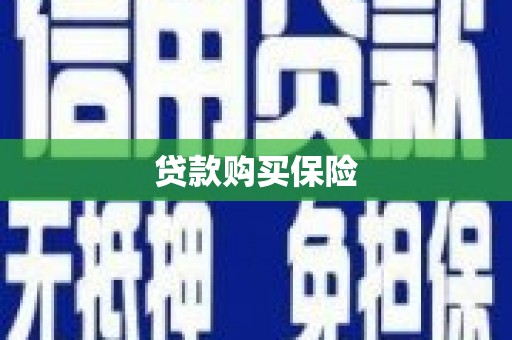 多伦贷款购买保险