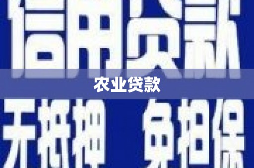 多伦农业贷款