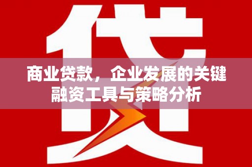 多伦商业贷款，企业发展的关键融资工具与策略分析