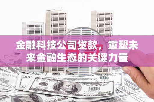 多伦金融科技公司贷款，重塑未来金融生态的关键力量