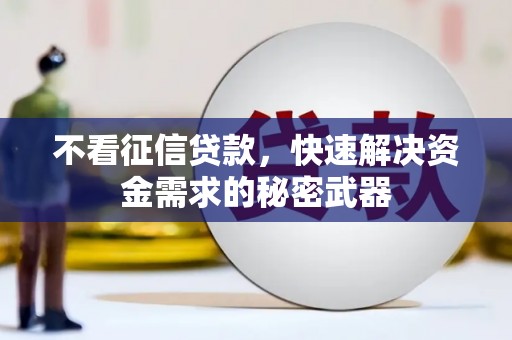 多伦不看征信贷款，快速解决资金需求的秘密武器