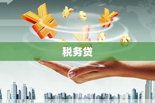 多伦税务贷