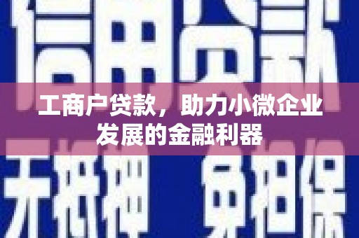 多伦工商户贷款，助力小微企业发展的金融利器